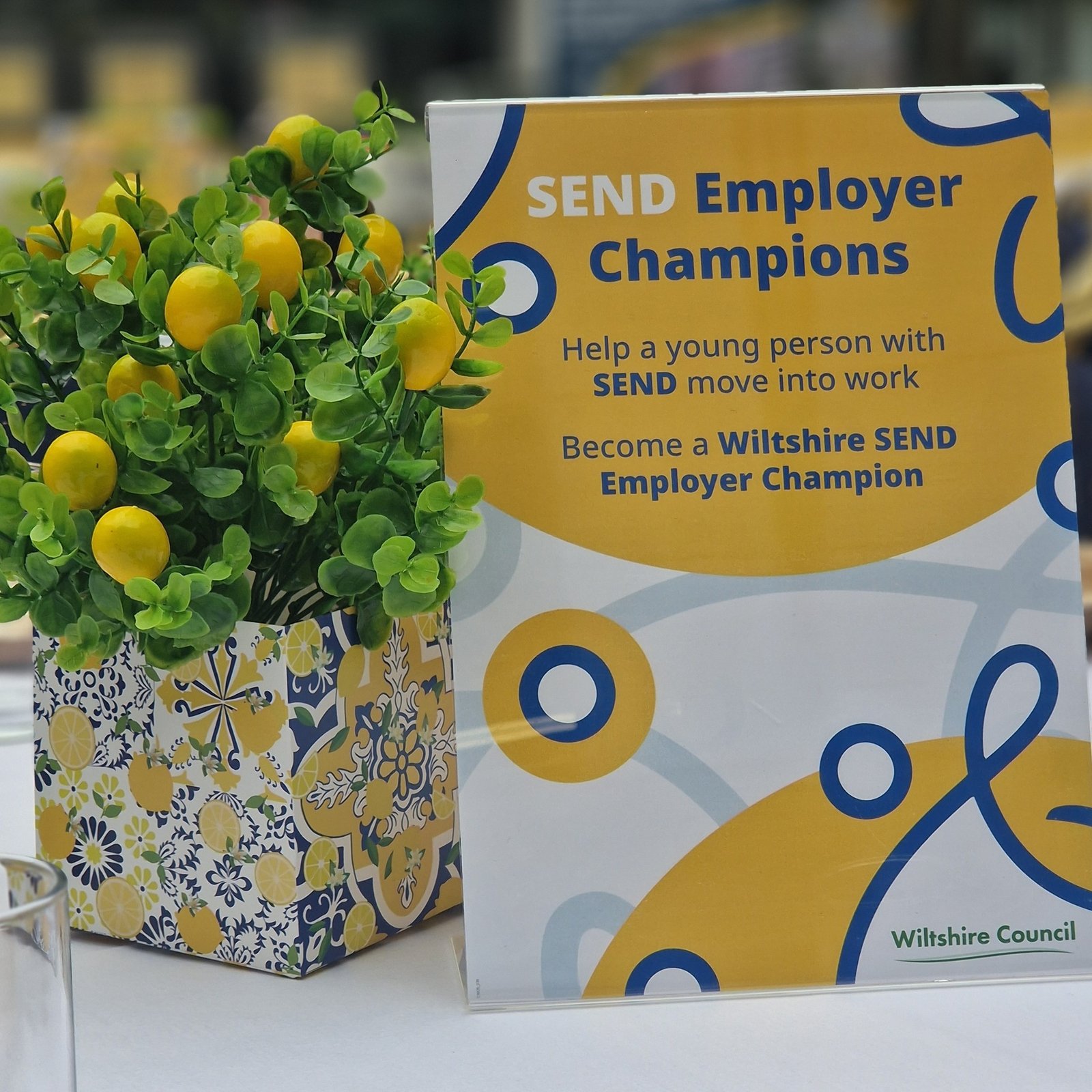 Wiltshire Council’s SEND Employer Champion Scheme celebrates first year anniversary