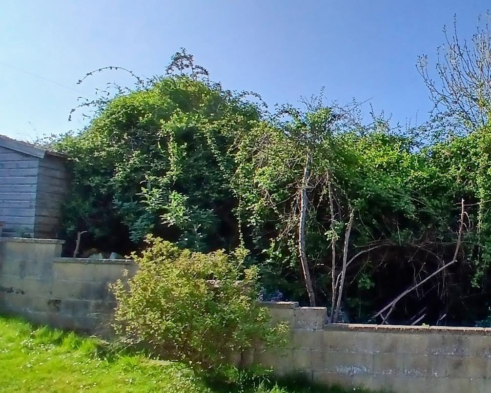 Council clears 14 truckloads of waste from neglected garden in Chippenham