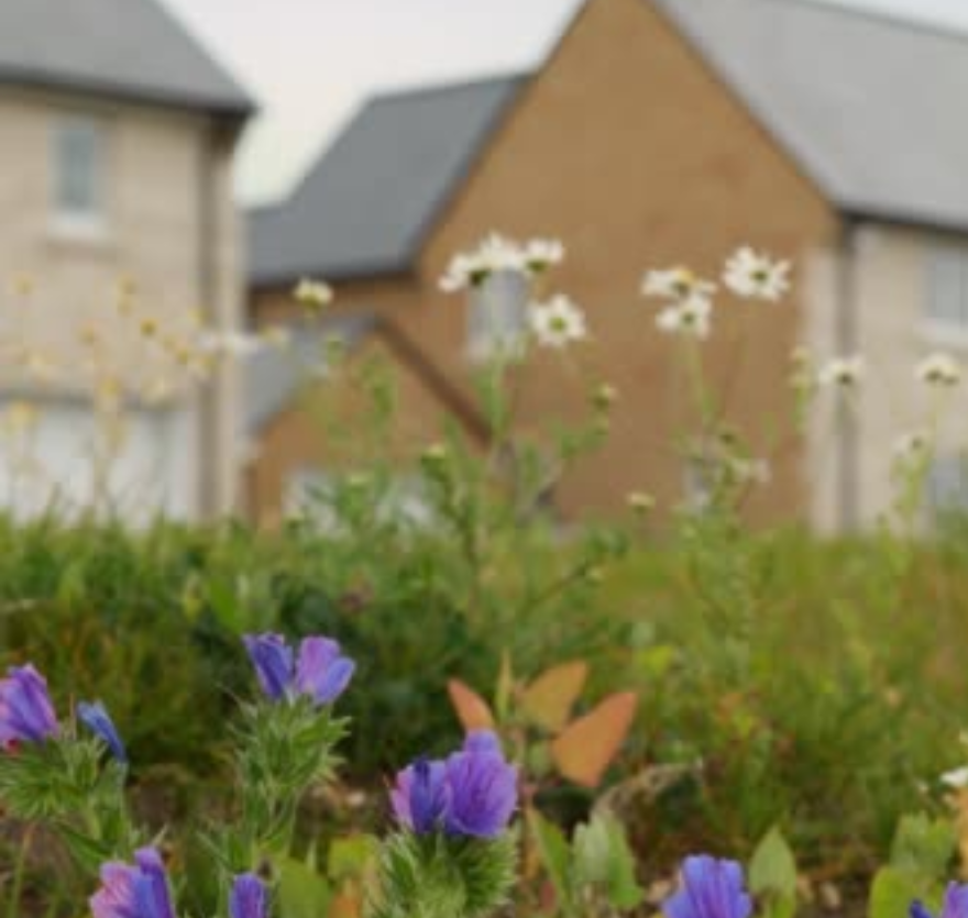 Investment and innovation are helping tackle homelessness in Dorset