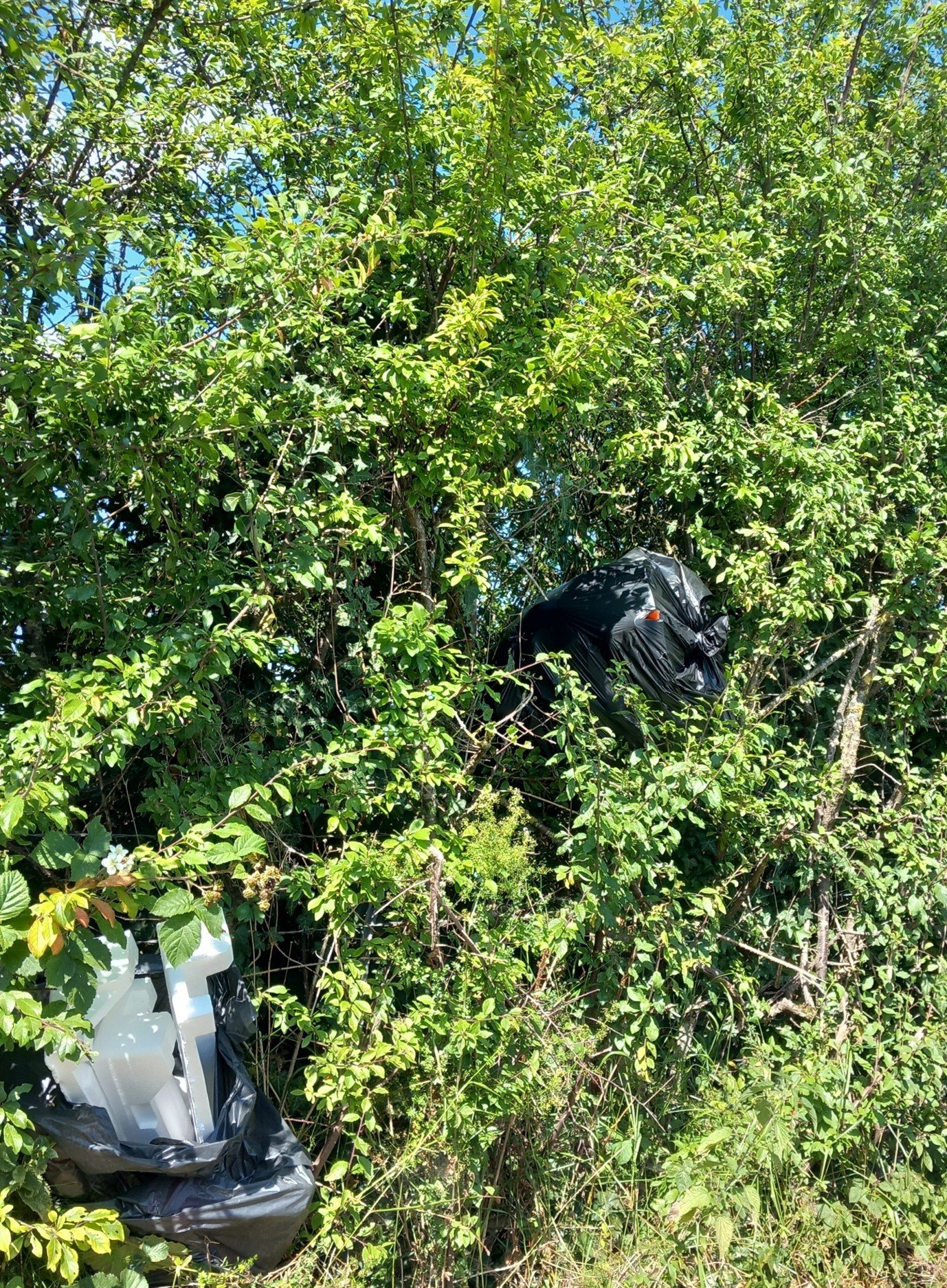 Wiltshire Council urges residents to use licensed waste collectors following fly-tipping fine in Melksham