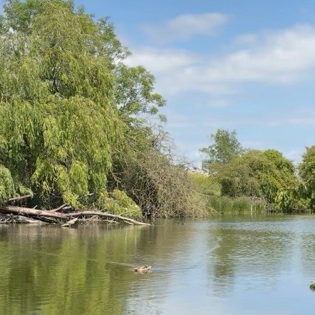 'Moativation' for nature: Hilsea’s hidden gem gets a green revival