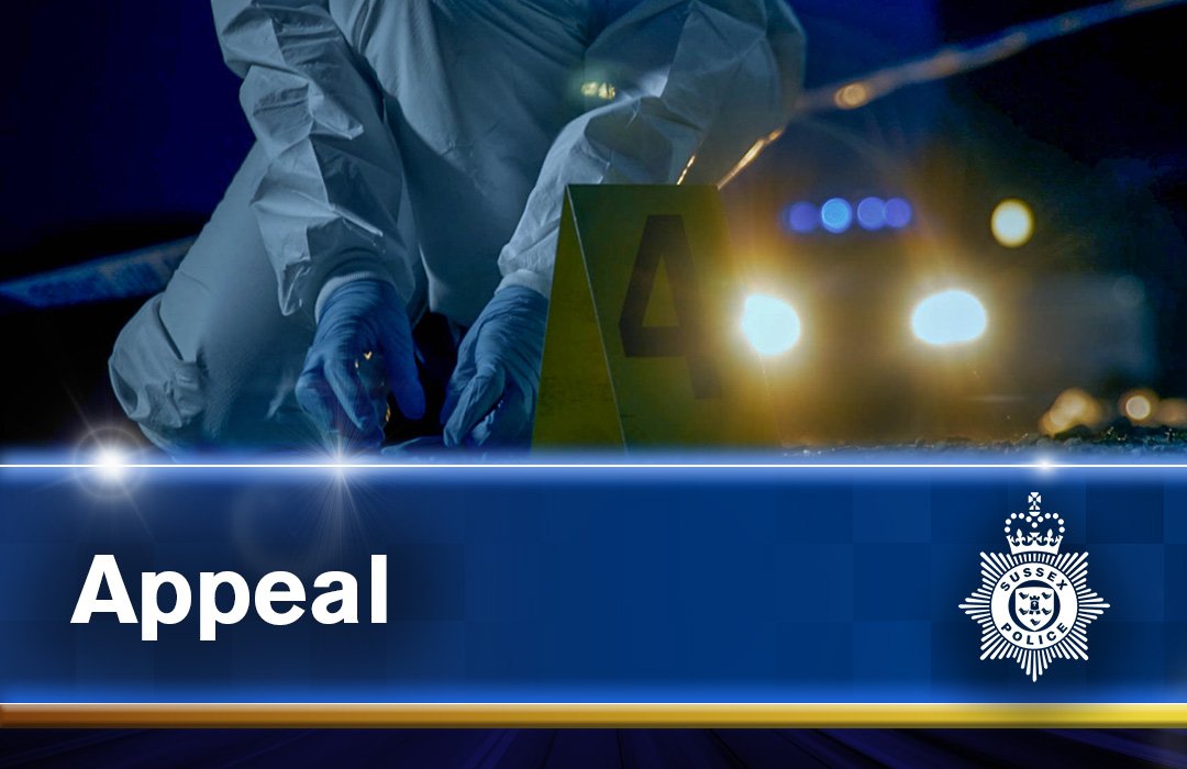 Appeal for witnesses to fatal collision at Easebourne