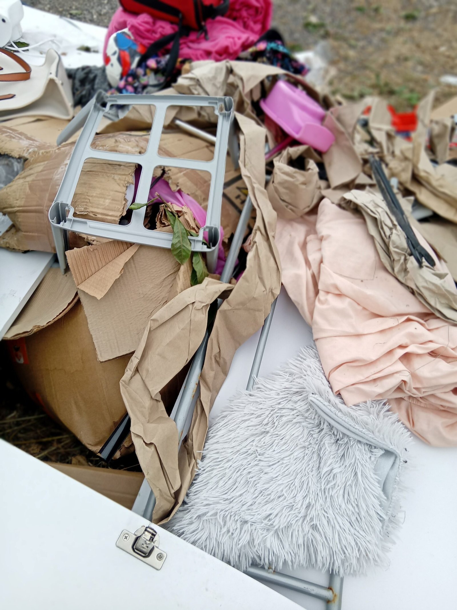 Swindon resident fined £600 for using unlicensed waste carrier linked to fly-tipping