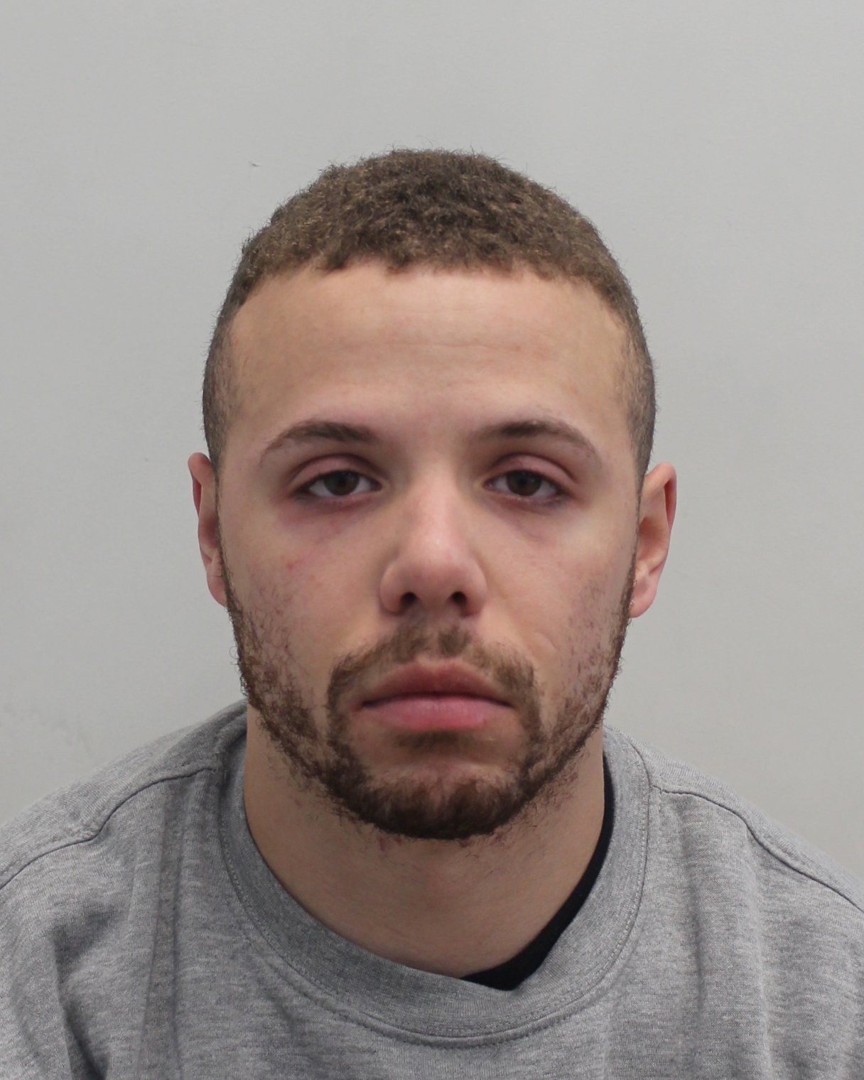 Man pleads guilty to causing death by dangerous driving after Met investigation