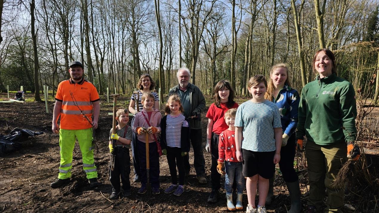 Hundreds of new native trees for Crabtree Plantation