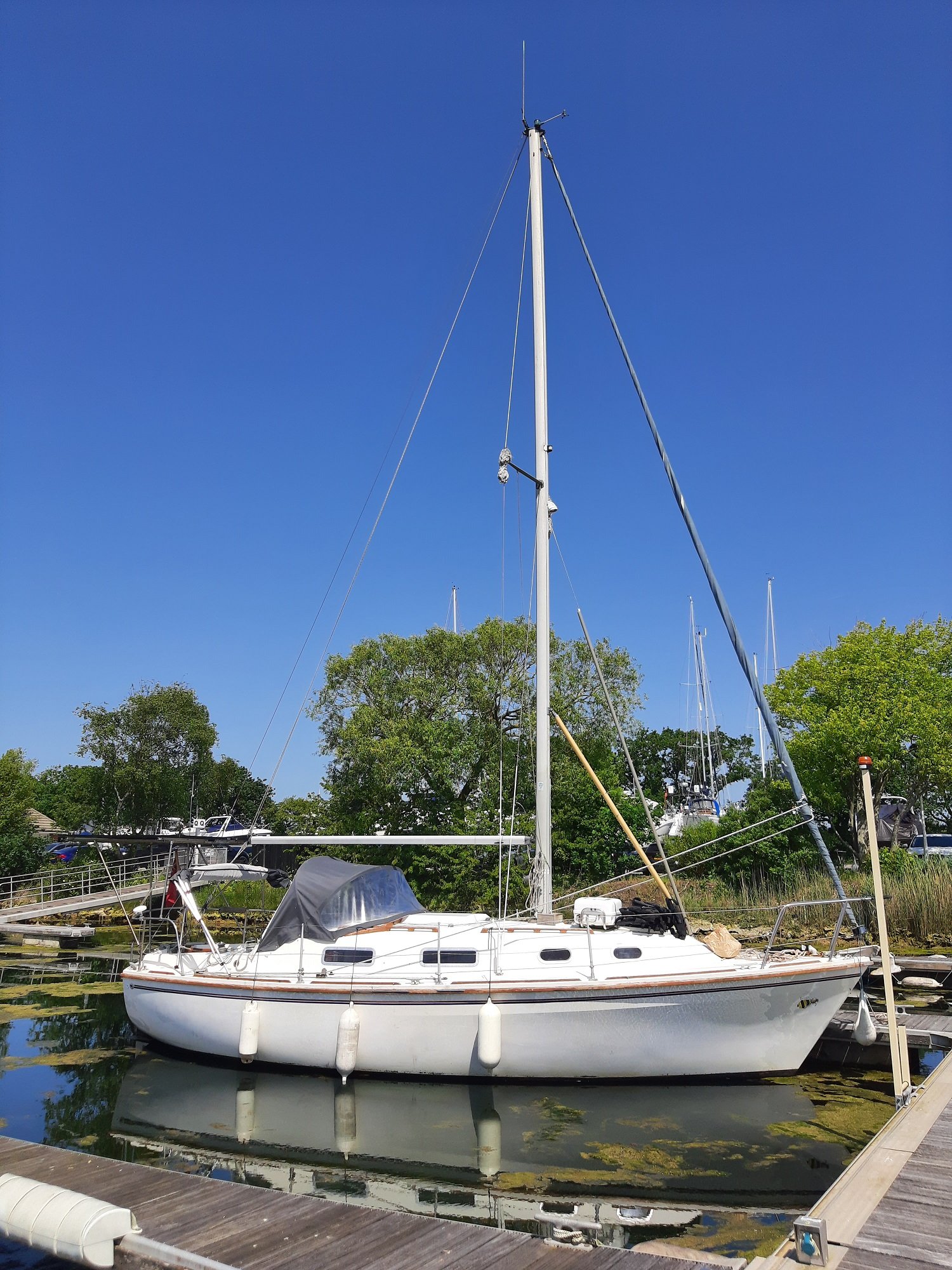 Five arrested after yacht carrying migrants intercepted in West Sussex