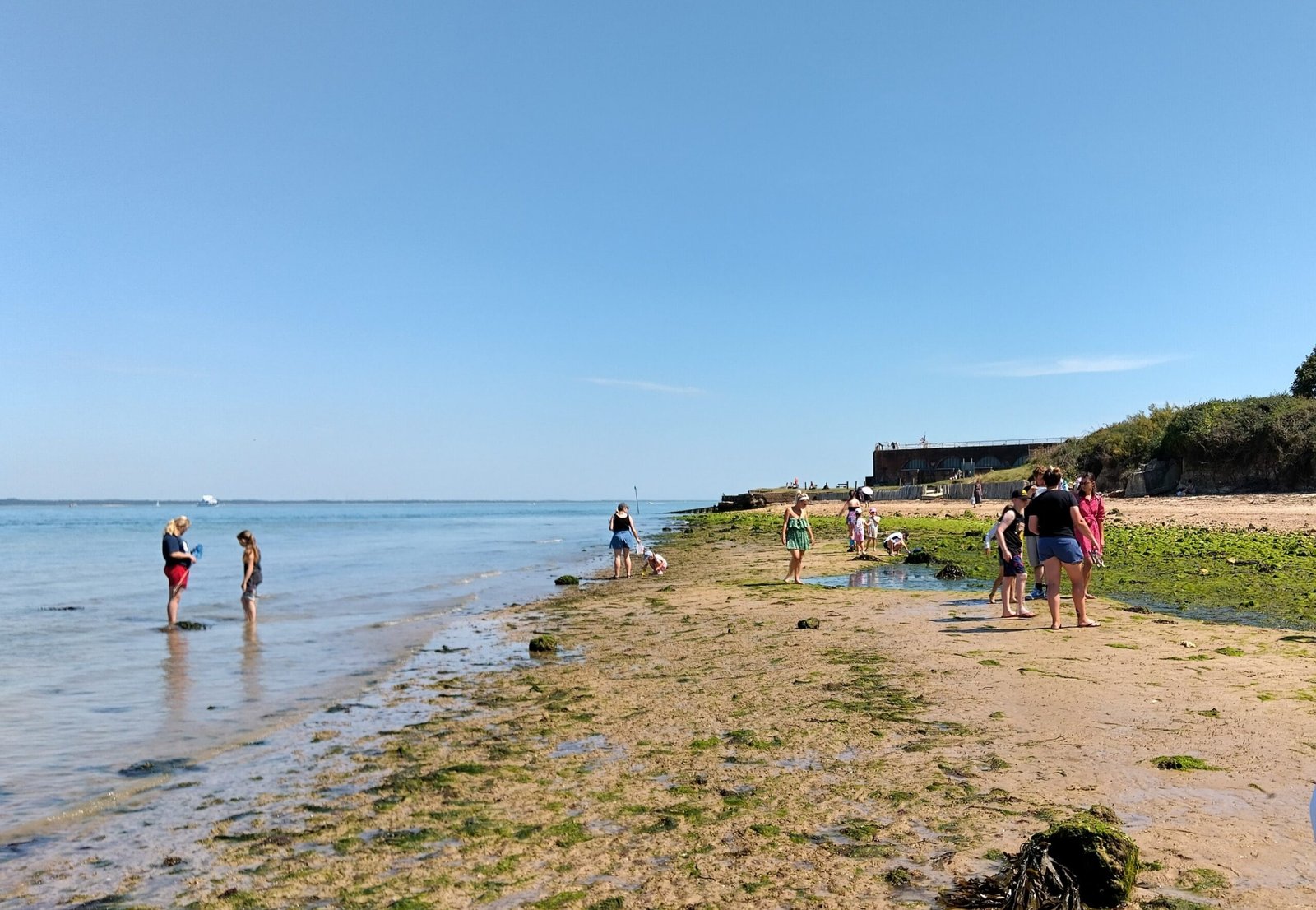 Half-term beach adventures return to Fort Victoria with ranger-led rock pooling and fossil hunts