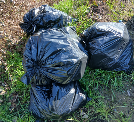 rowbridge resident fined £1,000 after fly-tipping blocks farmer’s gate in Steeple Ashton