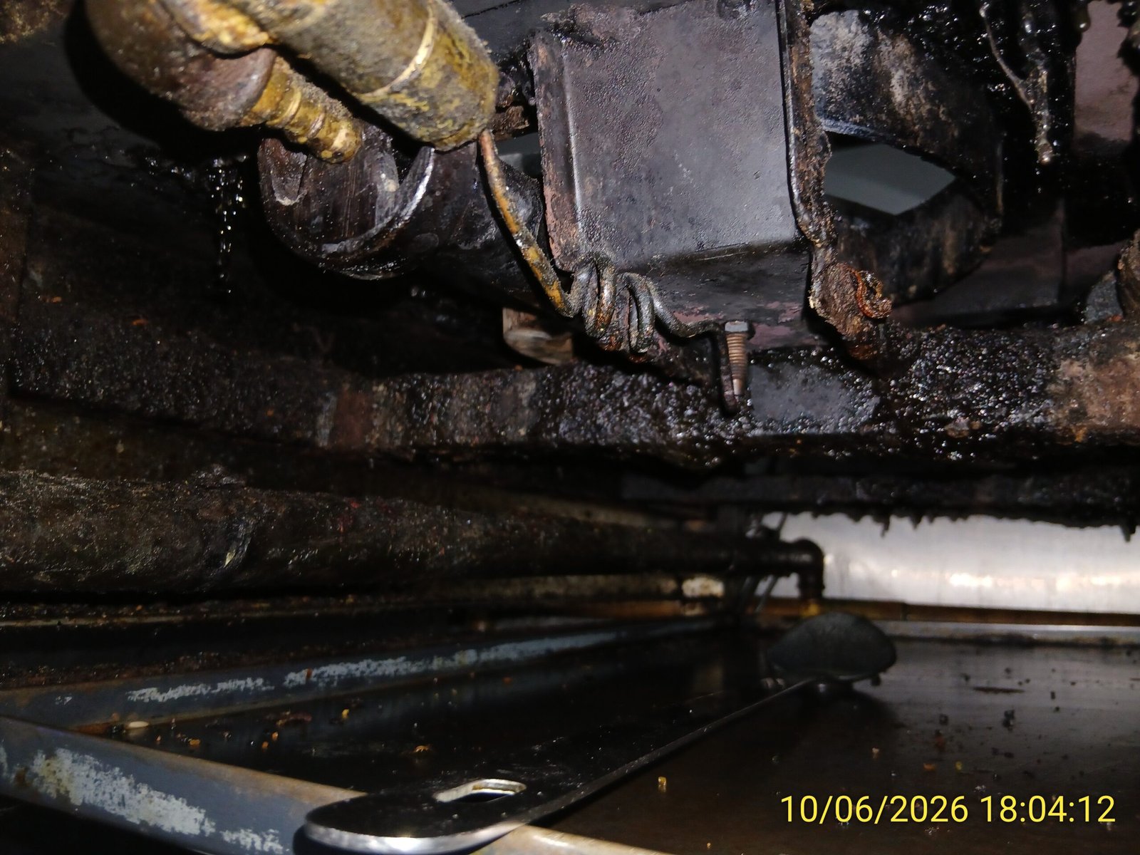 Serious mouse infestation leads to closure of Portsmouth food business