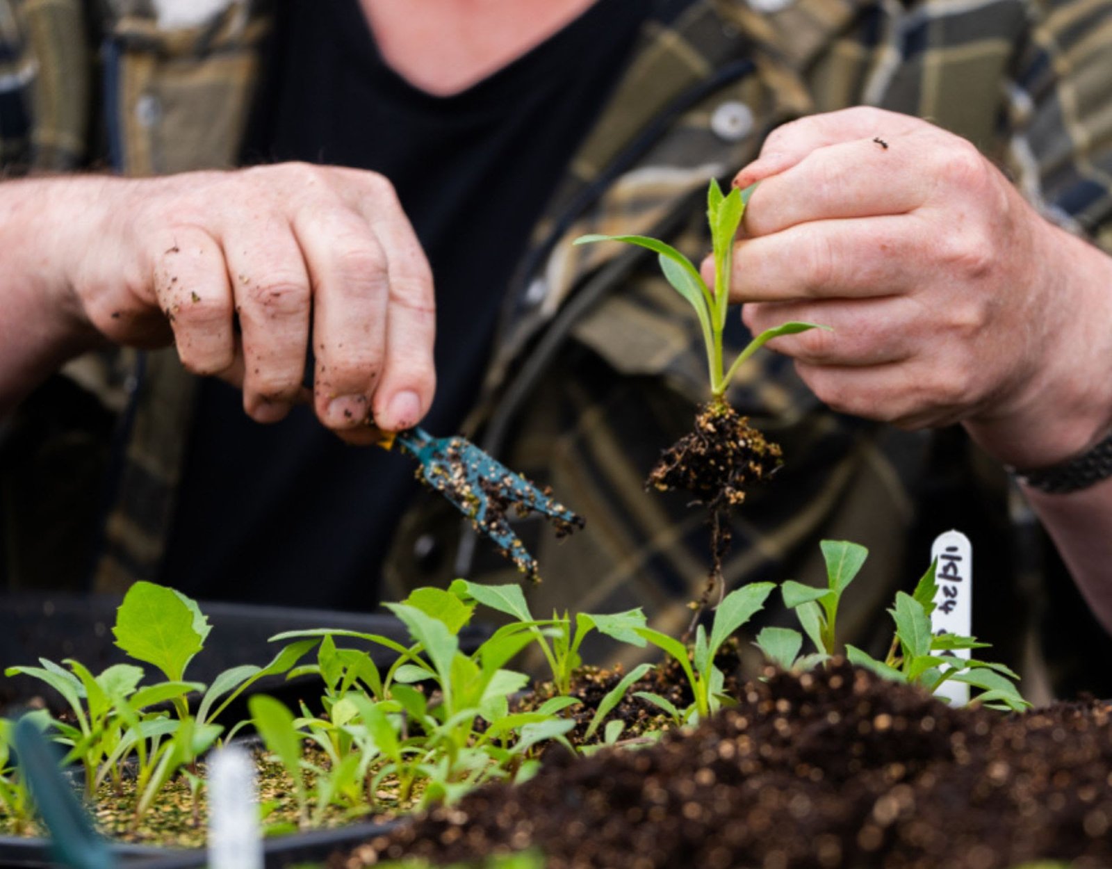 Growing Futures to Help Royal Navy and Royal Marines Veterans Build New Beginnings