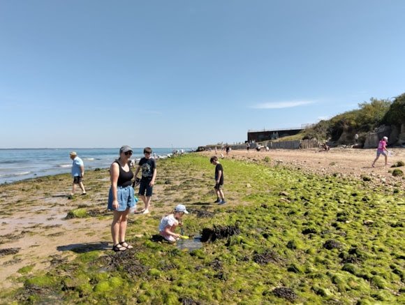 Rock pooling and fossil hunting adventures return to Fort Victoria this summer