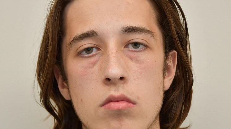 Warning to parents after man radicalised online as a teen is jailed for planning extreme right wing terrorist firearms attack