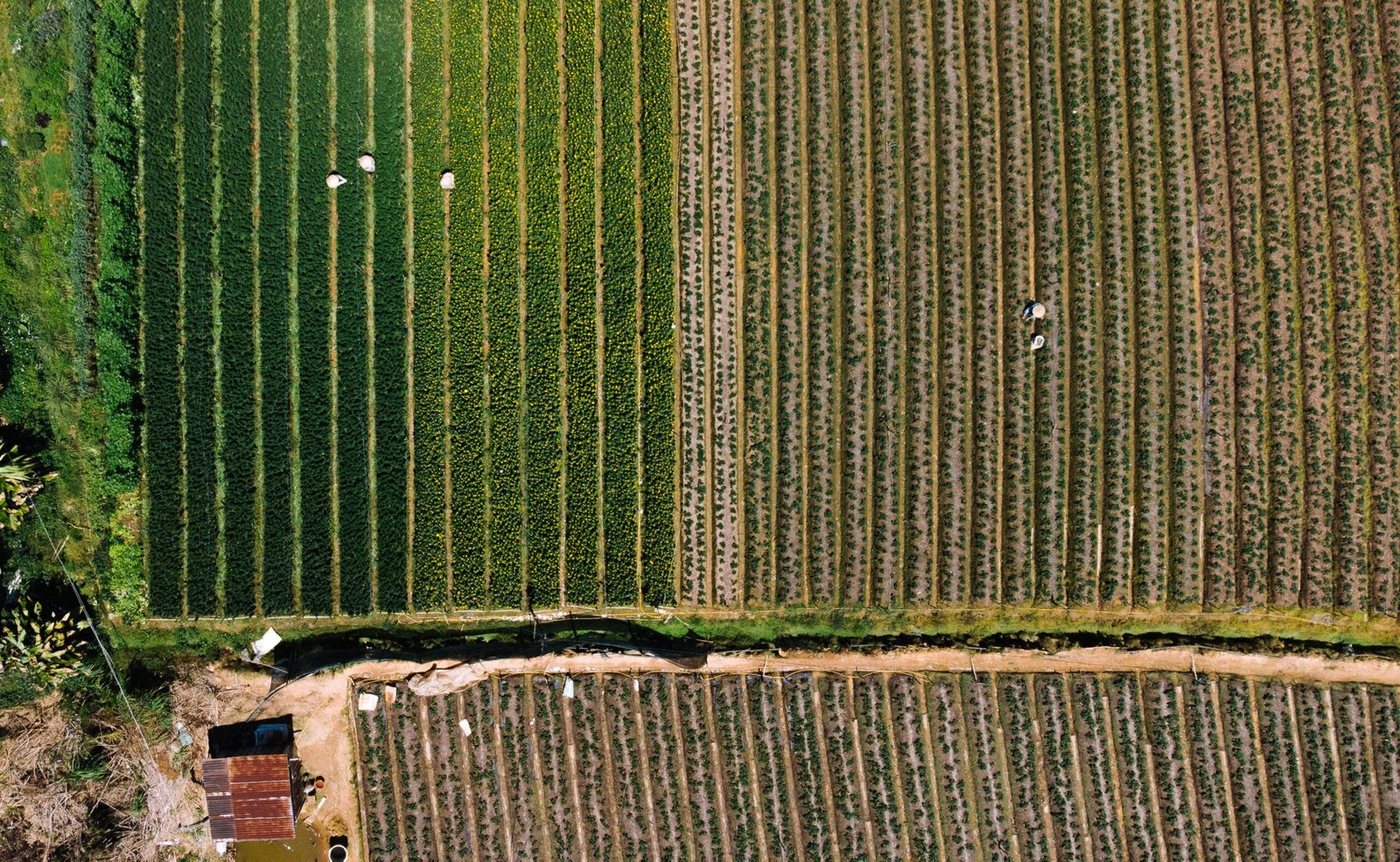 Grants and support for Surrey farmers now available
