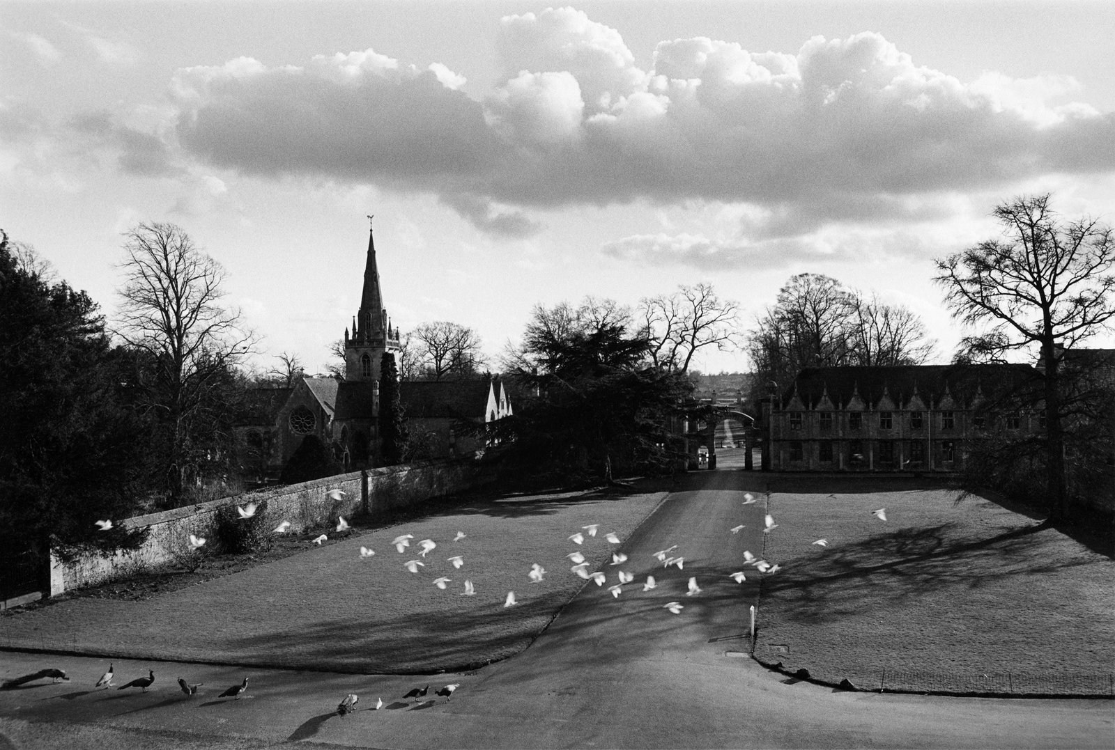 Young Gallery launches major collaborative exhibition exploring influential post-war Bath Academy of Art