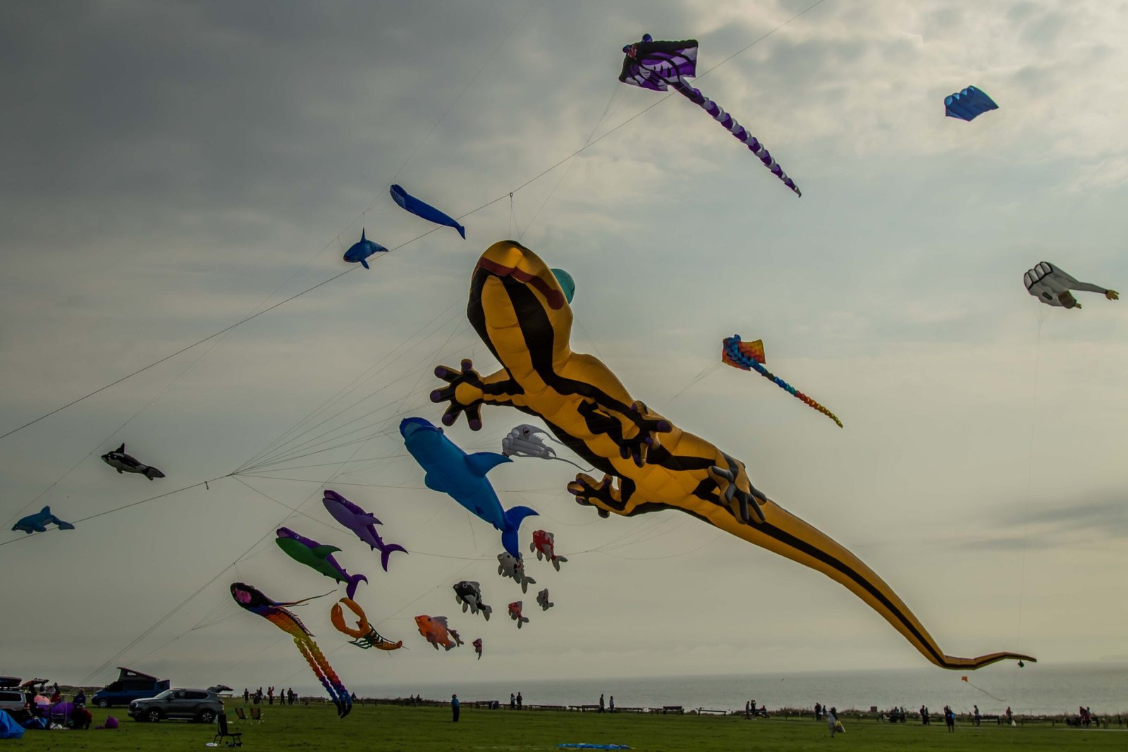 Kite festival returns to Filey for sixth year with new Friday night flight