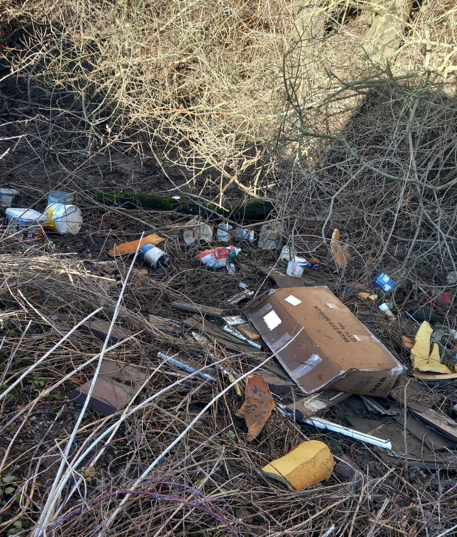 Licensed waste carrier prosecuted following fly-tipping investigation