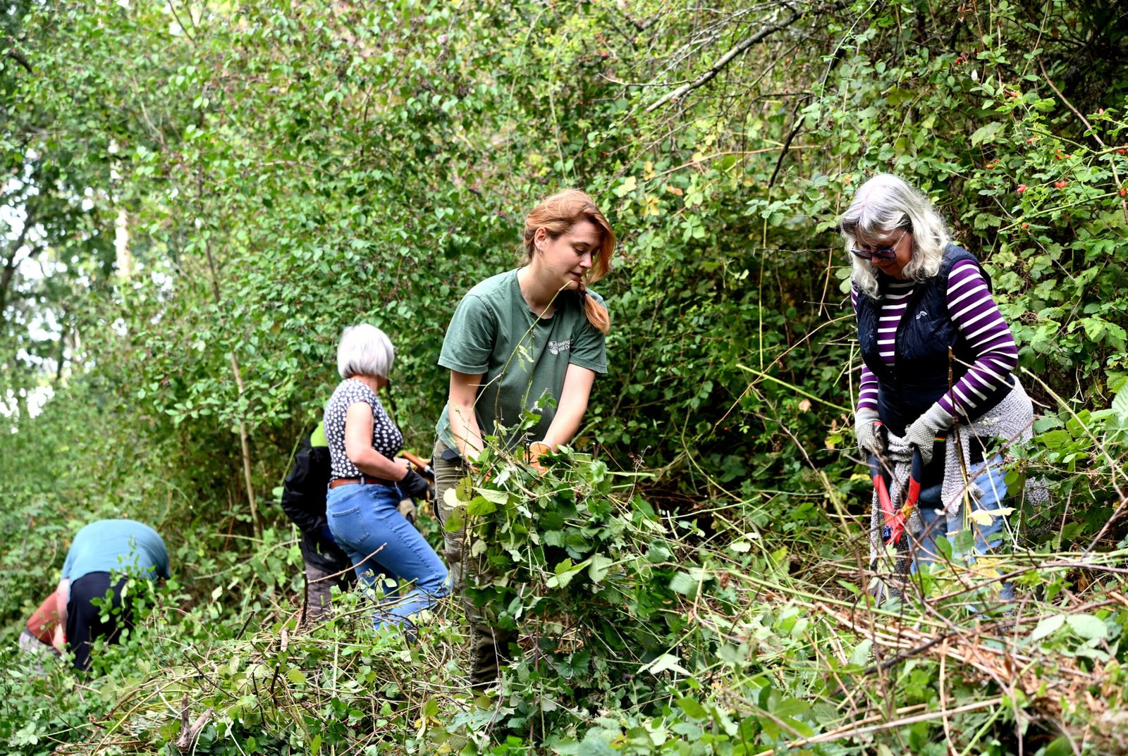 New volunteer group rolls up its sleeves for wildlife