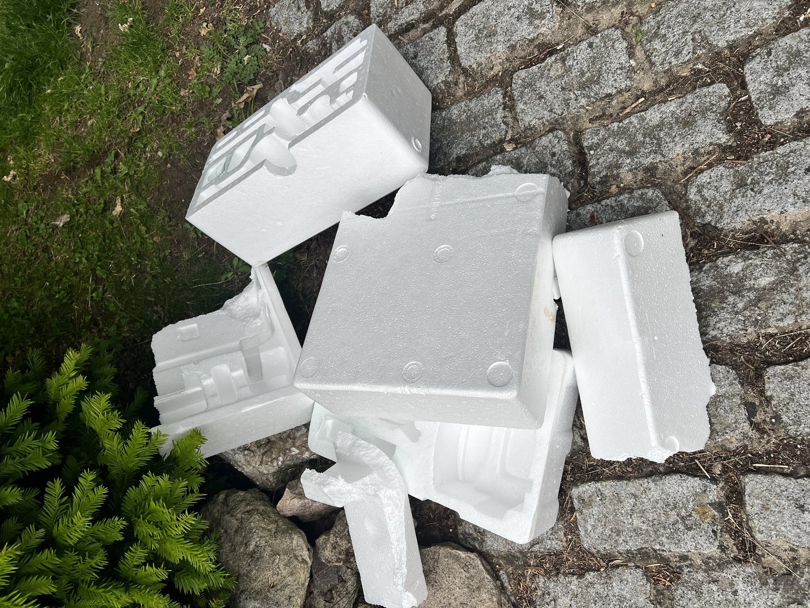 Fly-tipper stung by £1,000 fine after claiming wasp encounter made him dump waste