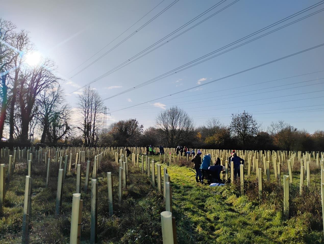 Join the Bucks Tree Mission this winter and help shape a greener future